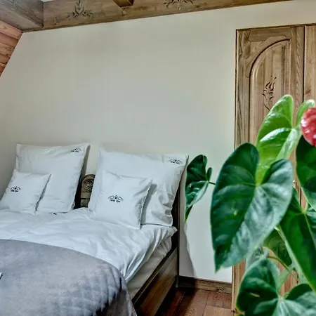 Topór Gospodarstwo wiejskie Witów