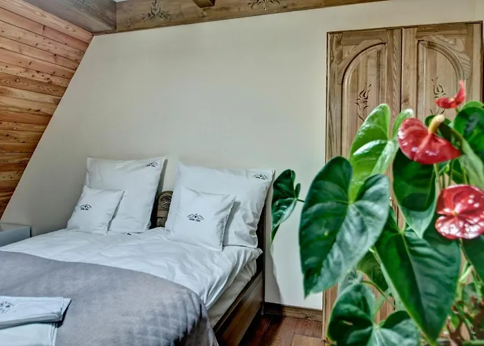 Topor 乡村民宿 Witów