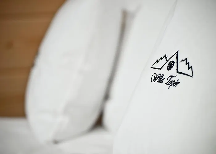 乡村民宿 Topor Witów