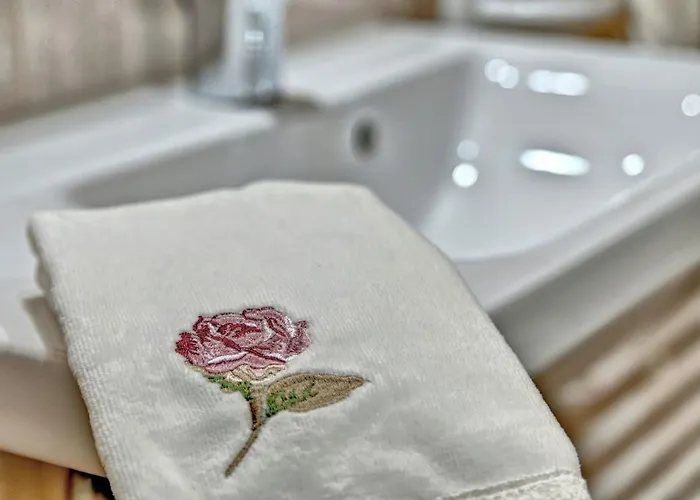 Topor 乡村民宿 *