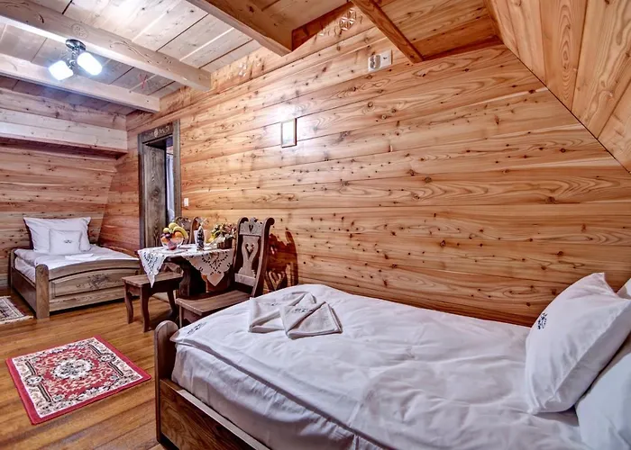 乡村民宿 Topor Witów